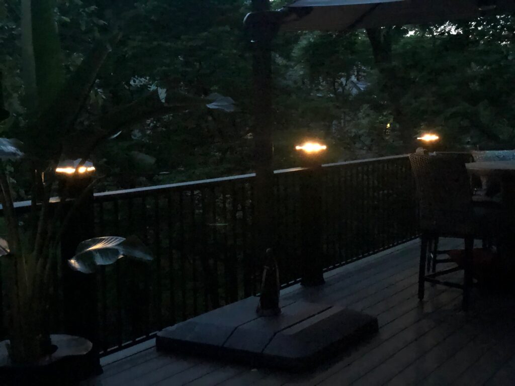 Deck Lighting on Leawood Deck by Moonlight Decks
